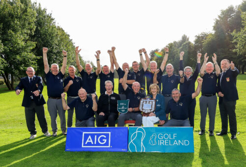 Portumna win AIG Pierce Purcell All-Ireland title